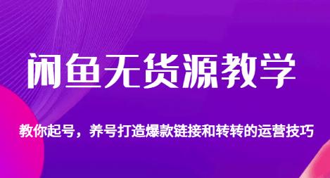 闲鱼无货源教学，教你起号，养号打造爆款<div class="erphpdown erphpdown-see erphpdown-see-pay erphpdown-content-vip" id="erphpdown" style="display:block">此内容查看价格为<span class="erphpdown-price">5</span>rmb<a class="erphpdown-iframe erphpdown-buy" href=https://www.88wto.com/wp-content/plugins/erphpdown/buy.php?postid=15772 target="_blank">立即购买</a>，VIP免费<a href="https://www.88wto.com/wp-login.php" target="_blank" class="erphpdown-vip erphp-login-must">立即升级</a><div class="erphpdown-tips"><strong><span style="color: #ff0000;">（购买后刷新网页可见下载地址）客服QQ：3156023228</span></strong></div></div>链接以及转转的运营技巧