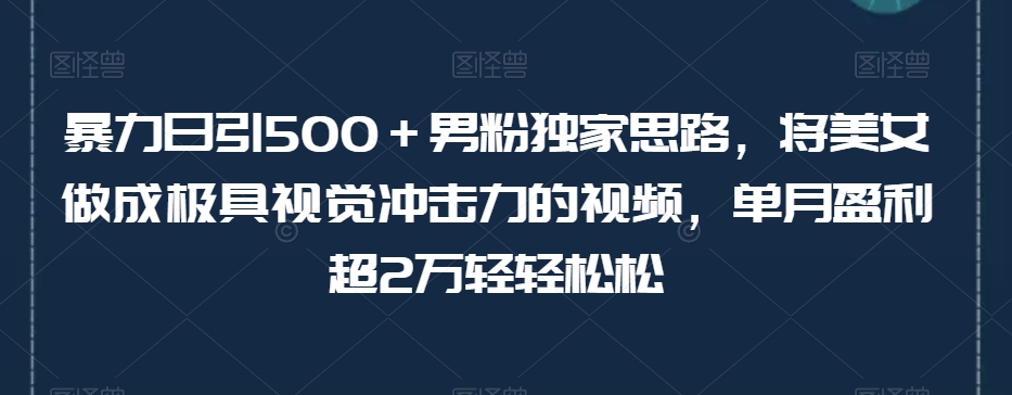 暴力日引500+男粉独家思路,将美女做成极具视觉冲击力的视频,单月盈利超2万轻轻松松