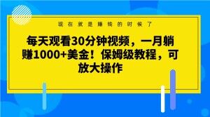 每天观看30分钟视频,一月躺赚1000+美金!保姆级教程,可放大操作【揭秘】