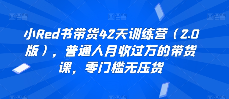 小Red书带货42天训练营(2.0版),普通人月收过万的带货课,零门槛无压货