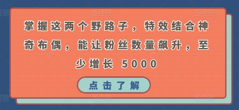 掌握这两个野路子,特效结合神奇布偶,能让粉丝数量飙升,至少增长 5000【揭秘】