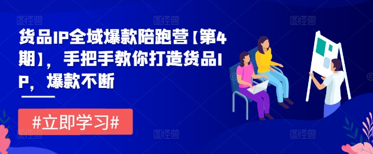 货品IP全域爆款陪跑营【第4期】,手把手教你打造货品IP,爆款不断