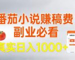 红果漫剧拉新营销号盘点玩法全流程实战，0粉丝也能做，一部手机就能做，爆一条单日收益2k+（更新0628）