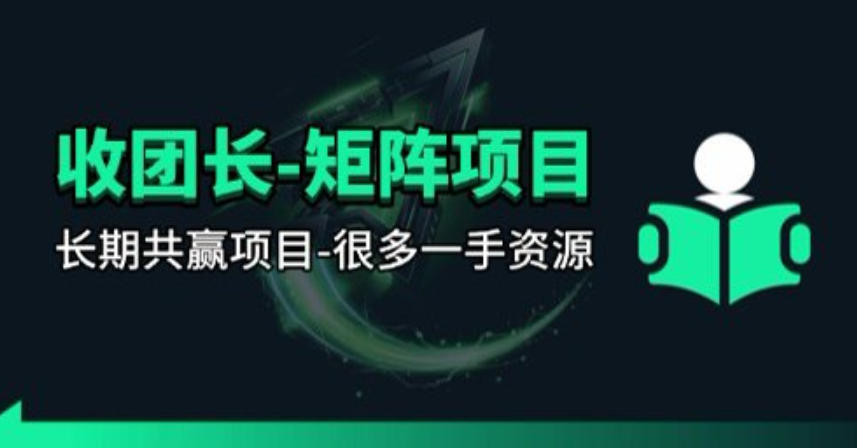 【团长合作】视频矩阵项目_招发手矩阵+剪辑师,共赢项目【揭秘】