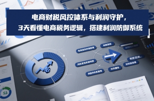 电商财税风控体系与利润守护，3天看懂电商税务逻辑，搭建利润防御系统