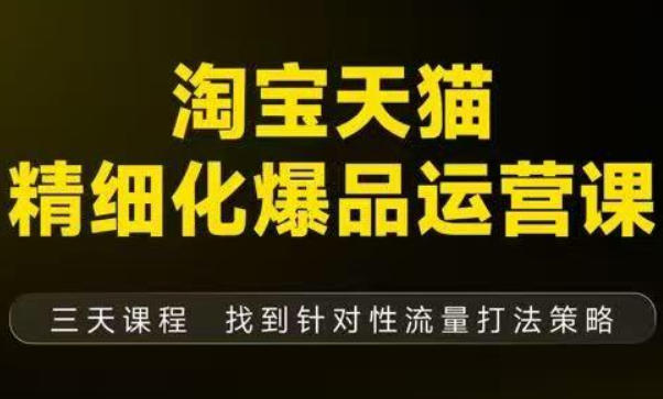 淘宝天猫精细化爆品运营（9月12-14杭州线下课），全方位拆解爆品打造逻辑【音频+字幕+文档】