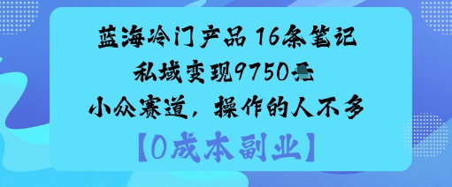 蓝海冷门产品：16条笔记私域变现9750米小众赛道，操作的人不多