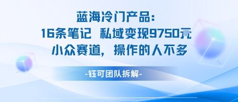 蓝海项目:16条笔记私域变现9750米小众赛道操作的人不多