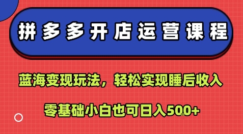 拼多多开店运营课程:蓝海变现玩法,轻松实现睡后收入,零基础小白也可日入5张