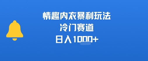情趣内衣暴利玩法,冷门赛道,日入1k+