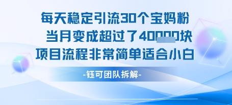 每天稳定引流30个人 当月变成超过了4个W项目流程非常简单适合小白