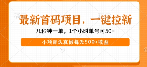 最新首码项目,操作最简单,收益高,一键拉新,1个小时单号可50+,小项目认真做每天5张+收益【揭秘】
