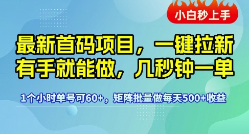 最新首码项目,一键拉新有手就能做,几秒钟一单,1个小时单号可60+,矩阵批量做每天5张【揭秘】