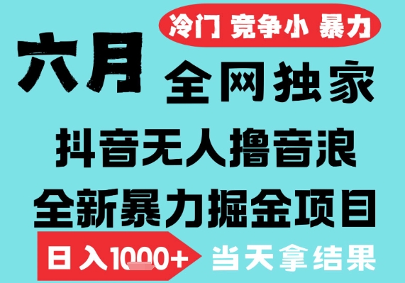 2025年6月高爆抖音无人直播最新撸音浪掘金项目,无脑日入1k+,低门槛小白可做,可矩阵放大【揭秘】