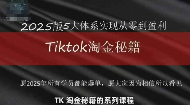 TikTok跨境2025淘金秘籍,2025TikTok从0到盈利变现