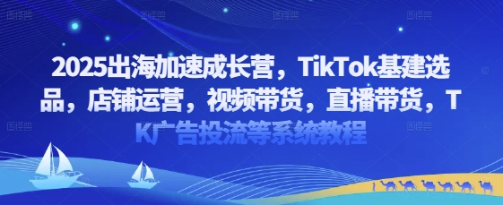 2025出海加速成长营,TikTok基建选品,店铺运营,视频带货,直播带货,TK广告投流等系统教程