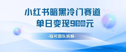 小红书冷门”暗黑”赛道,单日收益多张