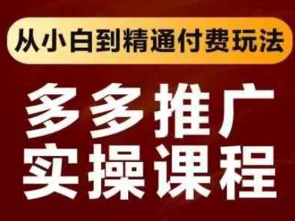 拼多多推广实操课程,从小白到精通付费玩法