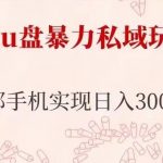 车载u盘暴力私域玩法，长期项目，仅需一部手机实现日入300+