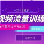 短视频流量训练营：百万操作手单月过千万的项目：抖音变现王中王能力超强