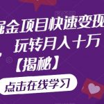 黑帽子蓝海知识付费项目，持续稳定盈利，实战月入3-5w项目