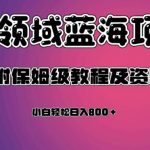 虚拟资源蓝海领域新项目，轻松日入800＋，附保姆级教程及资料