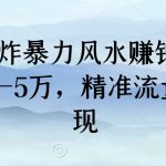 2024王炸暴力风水赚钱项目，月入过3-5万，精准流量引流变现【揭秘】