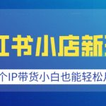 小红书小店新玩法，蹭这个IP带货，小白也能轻松月入过W【揭秘】