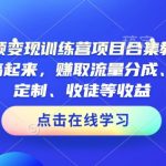 AI短视频变现训练营项目合集教程，直接无脑搞起来，赚取流量分成、广告、定制、收徒等收益