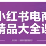 小红书电商精品大全课，快速掌握小红书运营技巧，实现精准引流与爆单目标，轻松玩转小红书电商(更新2月)