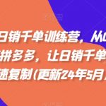 拼多多日销千单训练营，从0开始带你做好拼多多，让日销千单可以快速复制(更新25年2月)
