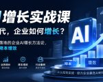 AI增长实战课，AI时代，企业如何增长？教你学可落地的企业AI增长方法论，真正实现降本增效