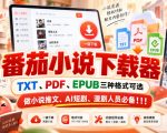 番茄小说下载器，TXT、PDF、EPUB三种格式可选，做小说推文、AI短剧、漫剧人员必备！！！