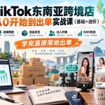 TikTok东南亚跨境店从0开始到出单实战课（基础+进阶），店铺搭建、选品发货、达人对接、GMV投流，学完直接落地出单