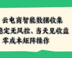 云电商智能数据收集，稳定无风控，当天做当天见收益，零成本矩阵操作【揭秘】