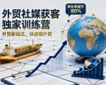 外贸社媒获客独家训练营，外贸新模式，快速做外贸（更新26年08月21日）