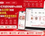 8月AI小红书虚拟电商Pro训练营，手把手带你从0到1跑通虚拟电商全流程，给普通人的最短商业变现路径