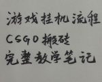 游戏挂G全流程笔记分享，CSGO游戏搬砖，小白看了当天学会见收益【揭秘】