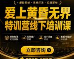 爱上黄昏无界特训营AI推广实战7月27-30杭州线下课，AI落地淘宝最完整的课程，学天猫淘宝的老板必看