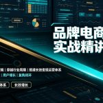 品牌电商运维实战精讲课程｜吃透电商品牌落地逻辑、穿越行业周期、搭建长效变现运营体系