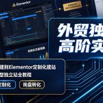 外贸独立站高阶实操课｜从域名服务器搭建到Elementor定制化建站，打造高转化询盘型独立站全教程