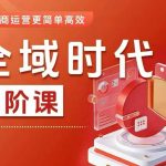 全域时代进阶课，更简单高效的全域投放实操，让电商运营更简单高效（更新0709）