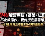 TEMU运营课程（基础+进阶），不止教操作，更传授底层思维，一门让你真正看懂TEMU的进阶课
