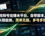 视频号挂賺米平台，自带脚本，长期能做，简单无脑，多号多賺【揭秘】