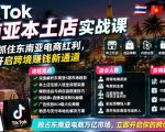 TikTok东南亚本土店实战课，帮你快速抓住东南亚电商红利，高效开启跨境賺钱新通道