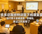 拼多多总裁班特训营下线课复盘，强付费才是硬道理，想賺钱，来这2天就够了