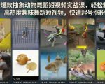 抖音爆款抽象动物舞蹈短视频实战课，轻松制作高热度趣味舞蹈短视频，快速起号涨粉