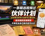 一条精选视频过伙伴计划，还没有过伙伴计划的可以看过来，超详细的实操教程，不用花米自己操作就可以过