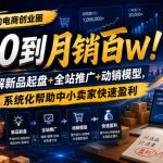 某大佬的电商创业圈从0到月销百W！拆解新品起盘+全站推广+动销模型，系统化帮助中小卖家快速盈利