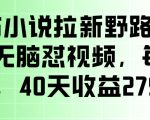 番茄小说拉新野路子玩法，无脑怼视频，玩法简单、见效快，每单10米，40天收益27950